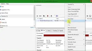TORRENT ERROR - The system cannot find the path specified (write to Disk) on PC