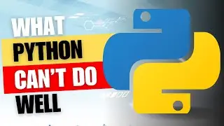 What Python can not do well?