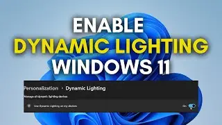 How to Enable or Disable Dynamic Lighting on Windows 11