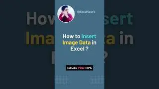 🔥 How to Insert Picture or Image Data in Excel ?😲 