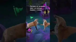 Лесник в 14 сезоне! 