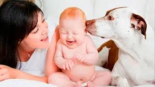 Собаки и младенцы: Первое знакомство - Dogs Meeting Babies For The First Time - Подборка приколов