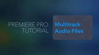 Pre-Recorded Multitrack Audio files in Premiere Pro - Working with On-Set Audio in Premiere Pro
