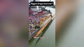 You'll never see a dragon boat this big! 🤯