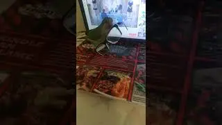 очки