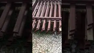 Дачные дела лето21