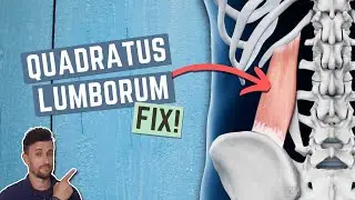 How to FIX a Problematic Quadratus Lumborum (QL) | Root Cause Explained!