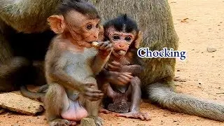 Worry about chock | Babies Maci and Daniela put a piece of Rock in to their mouth