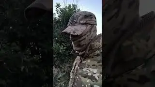Курская битва 2.0 