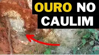 Garimpo de Ouro na Estrada: O que ninguém te conta