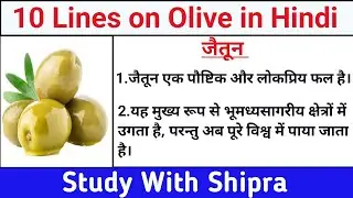 10 Lines on Olive in Hindi | Short Essay on Olive | 10 पंक्तियां जैतून पर | 10 लाइनें जैतून पर | 🫒🫒