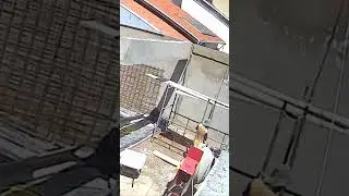 Когда купил диплом слоитесь!Новости