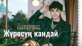 АМИРЧИК - 
