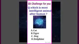 gk questions | gk in English | quiz questions | general knowledge English | exam | English quiz |