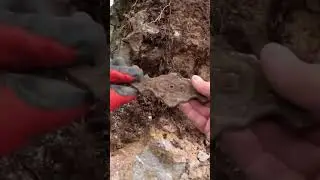 Definecilerin Büyük Hayal Kırıklığına Uğratan Kasa !!