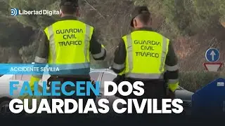 Así fue el accidente que acabó con la vida de dos guardias civiles en un control en Sevilla