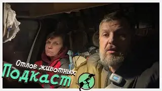 Рассказываем про отлов животных и делимся новостями приюта!