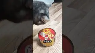 Сколько мяса в тушенке из прошлого? 