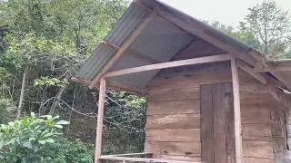 Ở trong rẫy thật bình yên