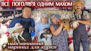 🇺🇦Ліквідація ВСІХ курей за день! Рецепт соковитого маринаду для курочки від Людмили