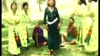 ጥሩወርቅ አየሌ - - - - - አባይ ወዲያ ማዶ