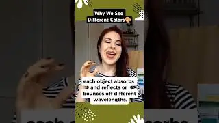 Why We See Different Colors Art Tips