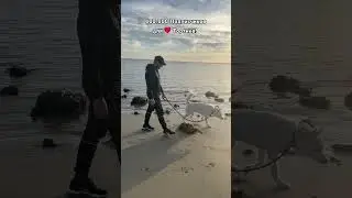 День 60-й🤘Челлендж!😃100,000 Подписчиков для❤️Тортика 