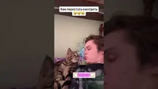 #изобилие #cat #силасознания #балансвселенной #материализациямыслей #cute #метафизик #дыхание #memes