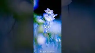 Whats your favorite flower? 