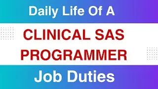 A Clinical Sas Programmer's Day In The Life: Roles And Responsibilities