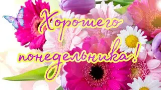 С понедельником друзья! Хорошего настроения, удачной рабочей недели! Музыкальная открытка.