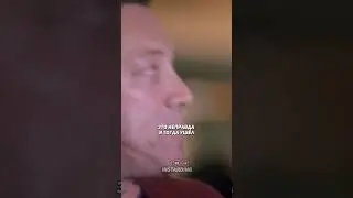 ВОЛК С УОЛЛ-СТРИТ О ФИЛЬМЕ 