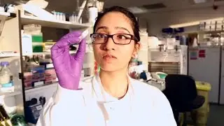 My career in genomics: cancer biology