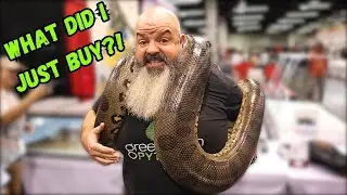How To Buy a Snake at a Reptile Expo