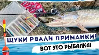 РЫБАЛКА УДАЛАСЬ! Приманки Perch'ik и ВОБЛЕРЫ косят ЩУКУ!