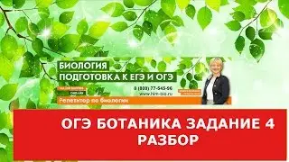 ОГЭ по биологии.Задание 4. Ботаника.