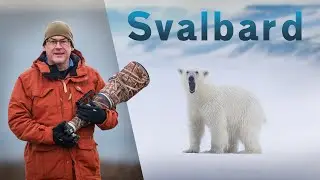 Mind blown by up close wildlife photography encounters in Svalbard!