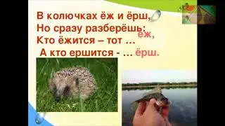 И.Гамазкова 