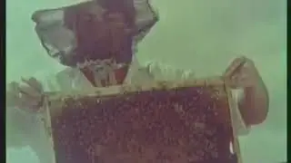 пчеловодство