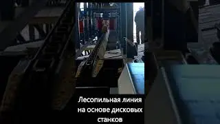 High speed sawmill line #circular_saws pilam.ru