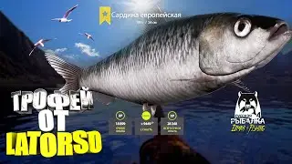 Русская рыбалка 4. 🎣🦈 Норвежское море 🧜‍♂️ ТРОФЕЙ от LATORSO 🐟💦👀