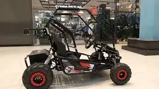 Багги SCANMOTO RAPID красный (электро)