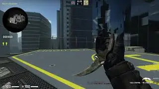 Karambit | Forest DDPAT (FT)