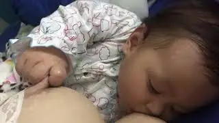 Bayi menyusui,sambil megang pentil susu ibunya (edukasi)