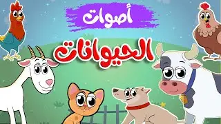 أغنية  أصوات الحيوانات الأليفة | أغاني أطفال  طم طم