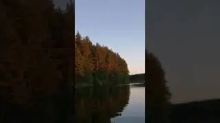 Лесное озеро КРАСОТА 