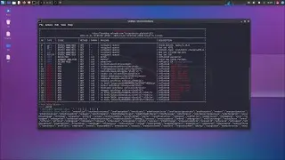 Cross Site Scripting (XSS) - Explain What is it And how to scan a Web Vulnerability for XSS