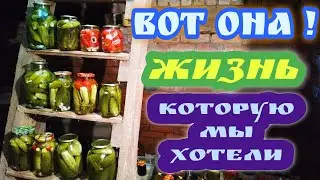 Переезд в деревню. ПРОСТАЯ, УЮТНАЯ ЖИЗНЬ !