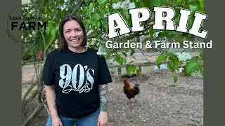 April Farm Stand & Garden Tours on our 2 acre Homestead | Laux Family Farm | 2024