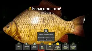 ЖЕСТЬ! ПОЙМАЛ ТРОФЕЙНОГО КАРАСЯ НА ОЗЕРЕ СТАРЫЙ ОСТРОГ! РУССКАЯ РЫБАЛКА